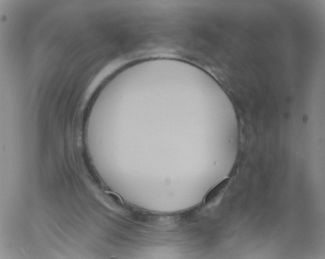 X0000060800056200512082200