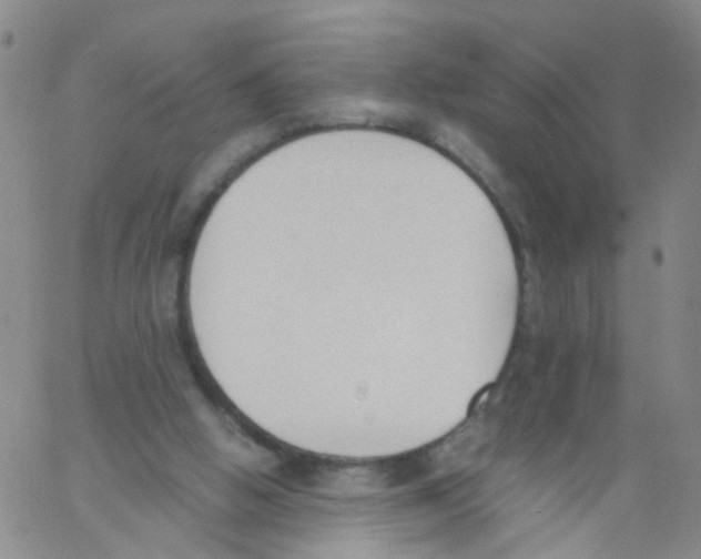 X0000060800058200512082200