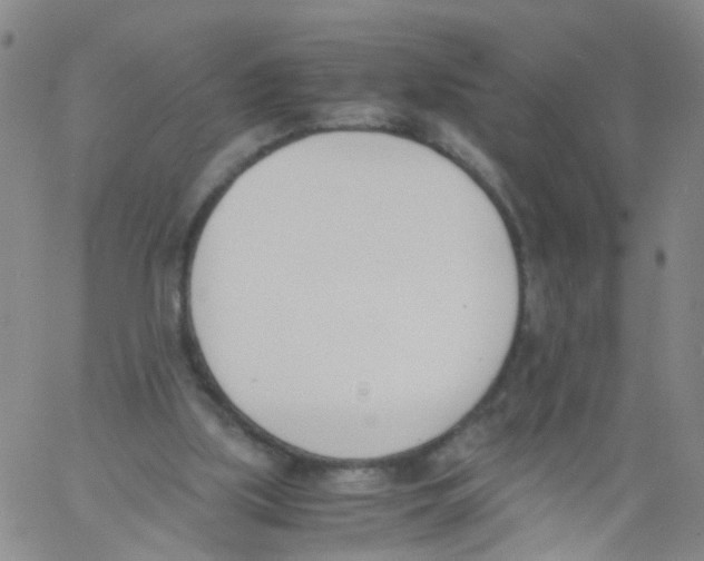 X0000060800059200512082200