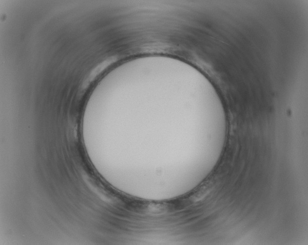 X0000060800060200512082200