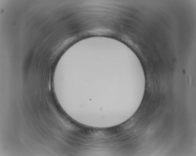 X0000060800062200512082200