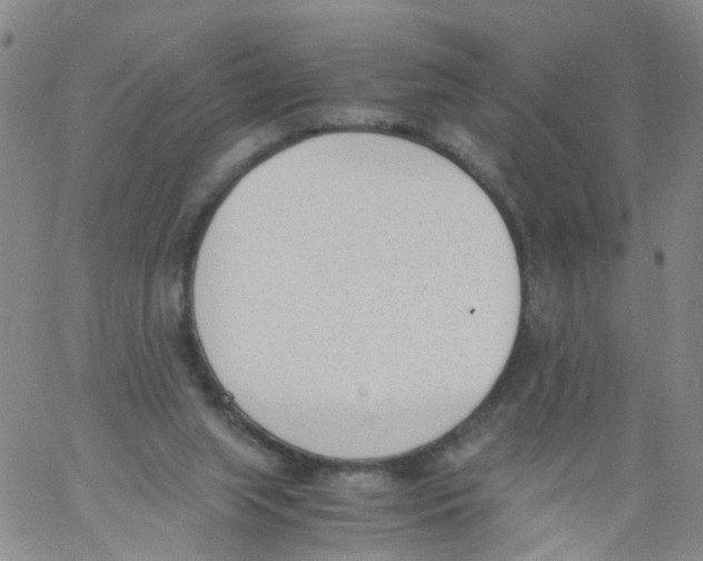 X0000060800063200512082200