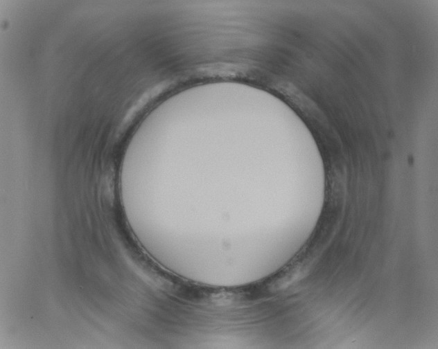 X0000060800064200512082200