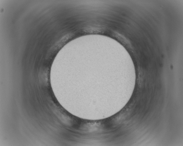 X0000060800065200512082200