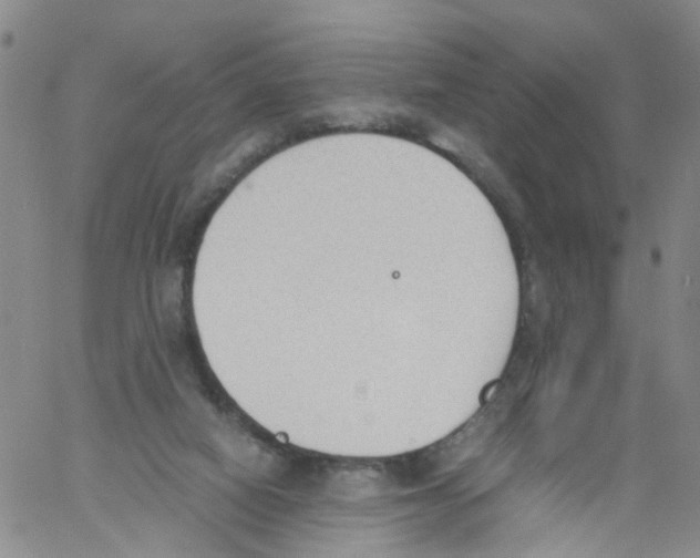 X0000060800066200512082200