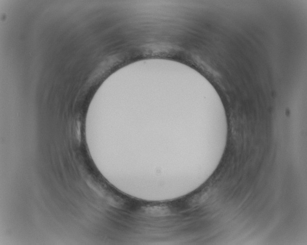 X0000060800067200512082200