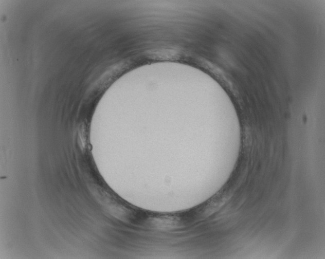 X0000060800069200512082200