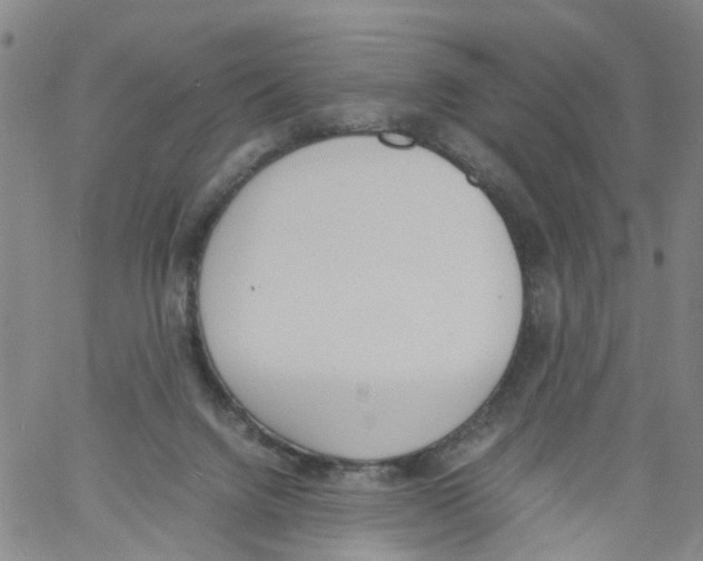 X0000060800072200512082200