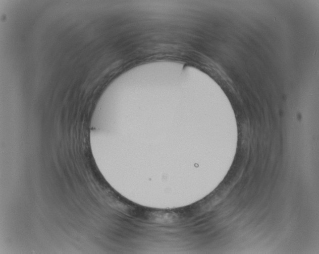 X0000060800073200512082200