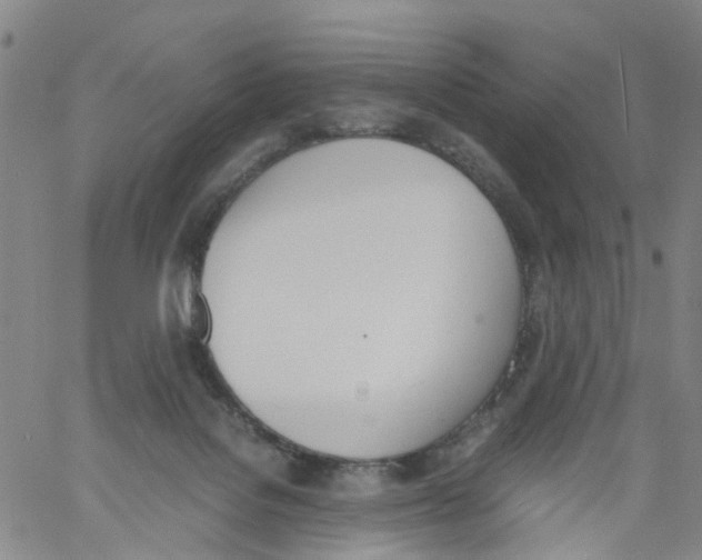 X0000060800076200512082200