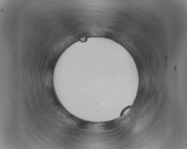 X0000060800078200512082200