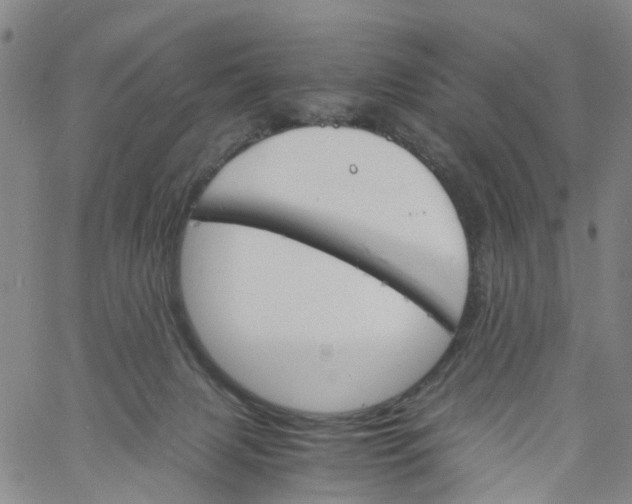 X0000060800079200512082200