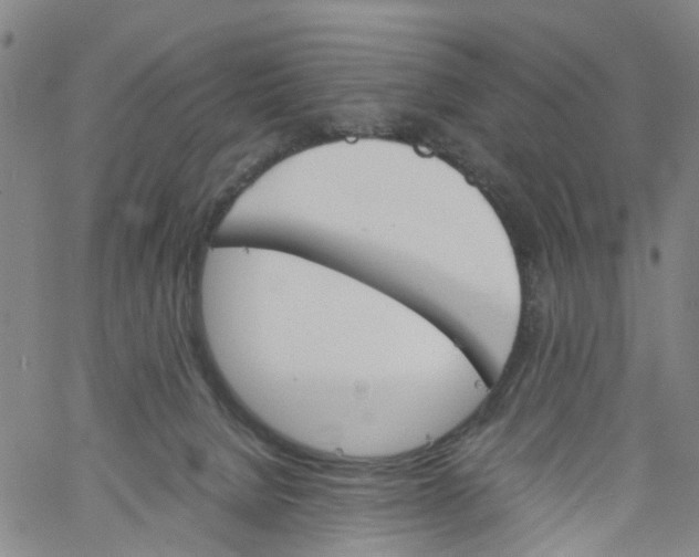 X0000060800080200512082200