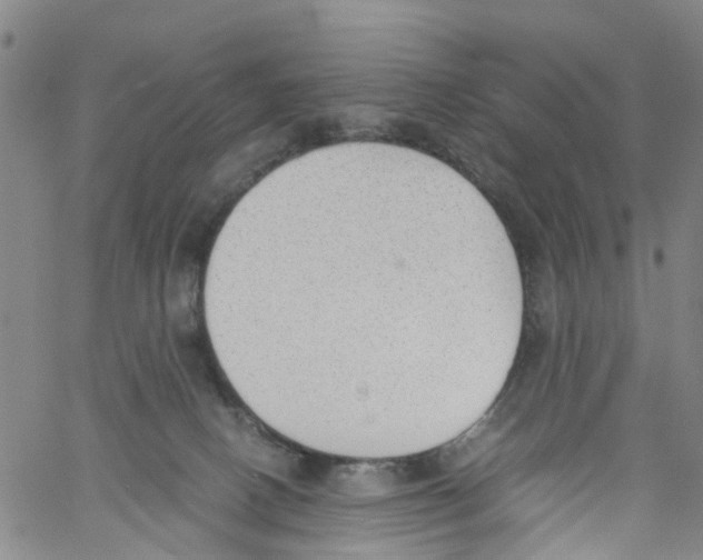 X0000060800082200512082200