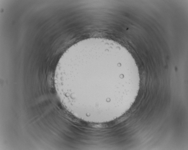 X0000060800083200512082200