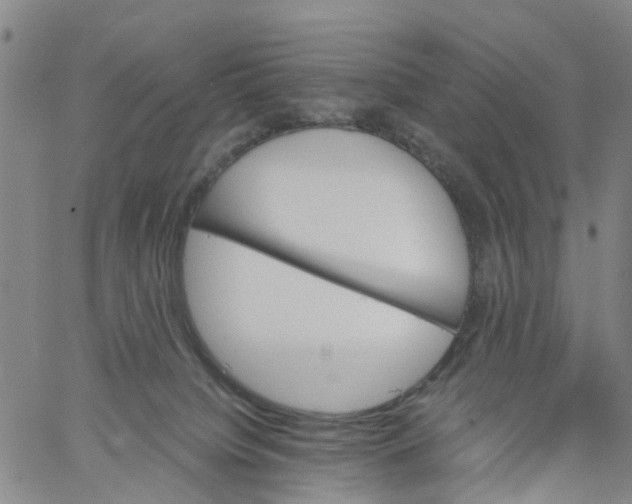 X0000060800084200512082200