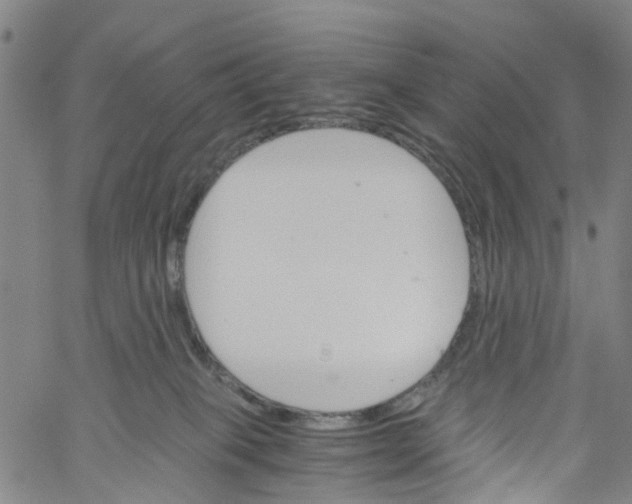 X0000060800085200512082200