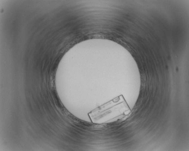 X0000060800086200512082200