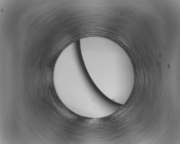 X0000060800092200512082201