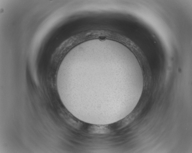 X0000060800093200512082201