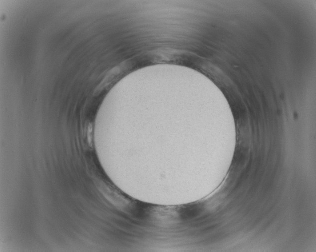 X0000060800094200512082201