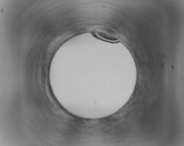 X0000060800097200512082200