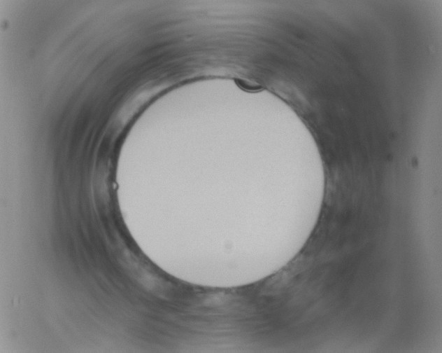 X0000060800098200512082200