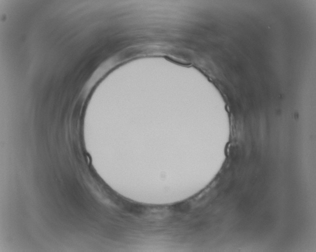 X0000060800099200512082200