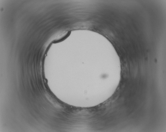 X0000060800100200512082200