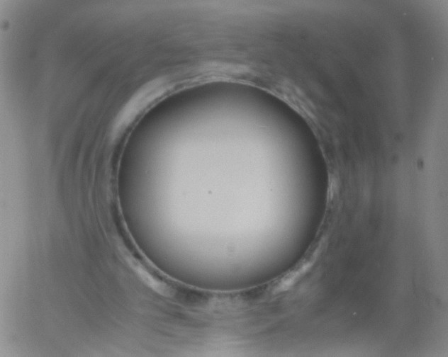 X0000060800101200512082200