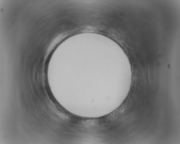 X0000060800102200512082200