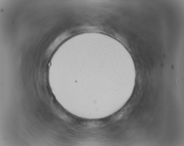 X0000060800103200512082200