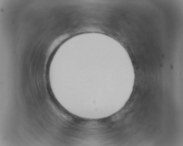 X0000060800104200512082200