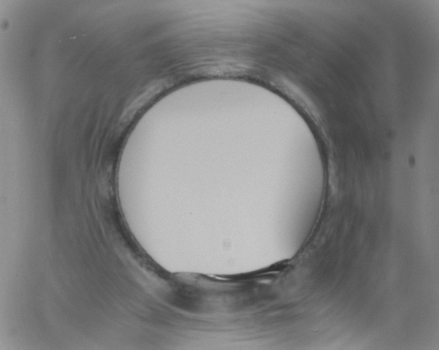 X0000060800105200512082200