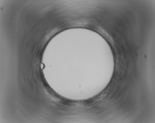 X0000060800107200512082200