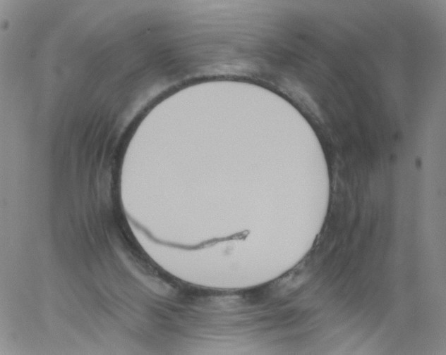 X0000060800108200512082200