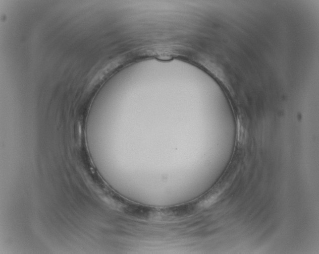 X0000060800109200512082200