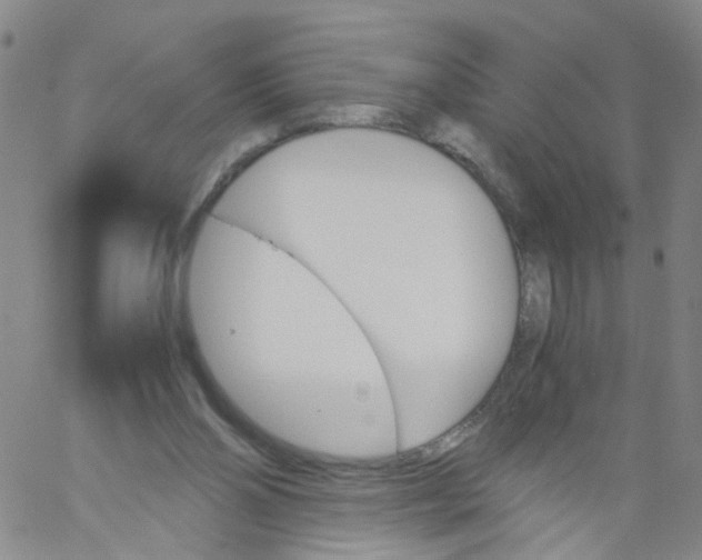 X0000060800110200512082200