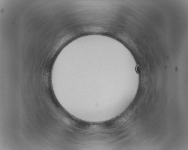 X0000060800111200512082200