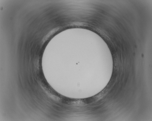 X0000060800112200512082200