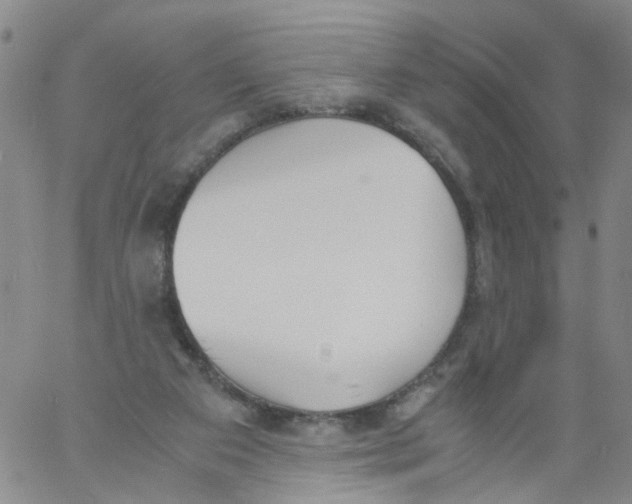 X0000060800113200512082200