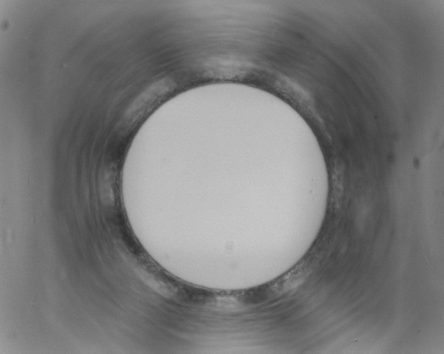 X0000060800114200512082200