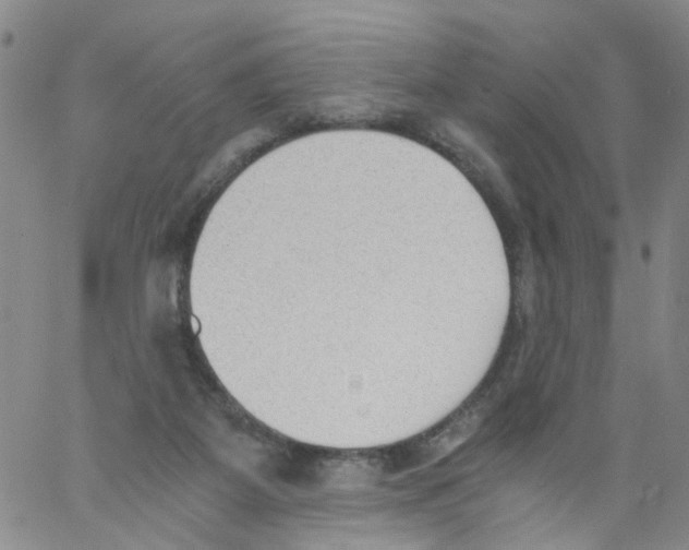 X0000060800115200512082159