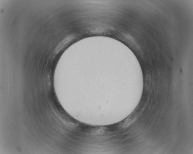 X0000060800116200512082159