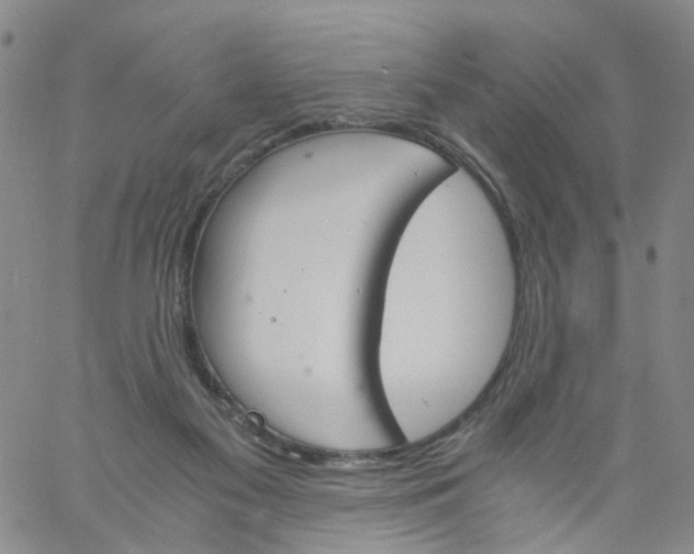 X0000060800117200512082159