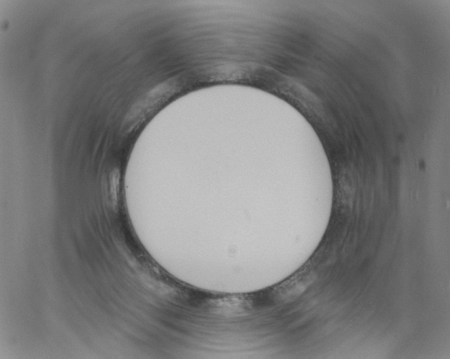 X0000060800118200512082159