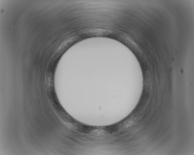 X0000060800119200512082159