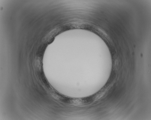 X0000060800121200512082159