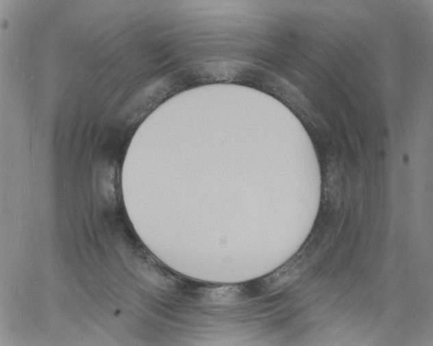 X0000060800122200512082159