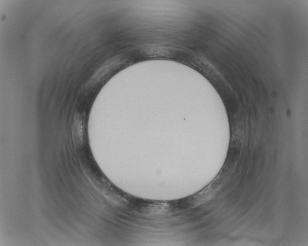 X0000060800124200512082159